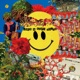 Like A Acid House