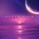 Ocean View feat Bluezy Single