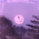 MOON N BACK SPED TF UP feat 40K Single