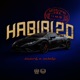 Habibi 2 0 Single