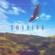Soaring Single