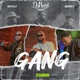 Djnani Gang feat Whiteboyy Chief Dejjy Single