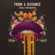 From a Distance Single