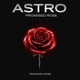 Promised Rose Single