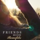 Friends with Benefits Single