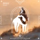 Zulu Single