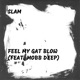 Feel My Gat Blow feat Mobb Deep Single