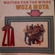 Waiting for the Winds Woza Moya Single