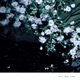 Between the Silence Remixes EP