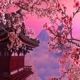 Anni Lofi Single