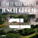 Jungle Groove Single