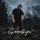 Goodbye Single