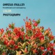Color Photograph Single
