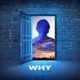Why feat Lil Endo Single