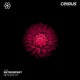 Reticent Single