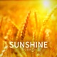 Sunshine Single