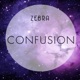 Confusion Single