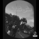 Mesh Sheaf feat Medzone Single