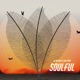 Soulful Single