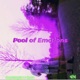 Pool of Emotions feat Recoil Single