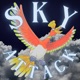 Sky Attack Pokémon feat Flint 4K Single