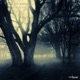 Perception Single