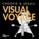 Visual Voyage Single