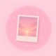 polaroid Single