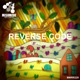 Reverse Code Single