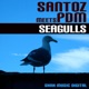 Seagulls