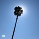 Recess Single