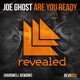 Are You Ready Hardwell Rework Single