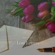 Lost Letters Single