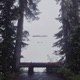 somewhere nowhere Single