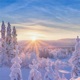 Acclimatise Single