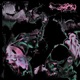 Falling Star Single