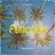 Function feat Flip side Single