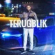 TERUGBLIK Single