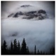 Smoked Repose LP