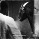 Don t Count Me Out EP