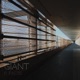 Giant Single