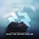 What The Water Gave Me Single