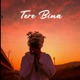 Tere Bina feat Abhinav thakur Single