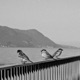 where the birds fly Single