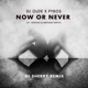 Now or Never feat Treesha Denham Smith DJ Sherry Remix Single