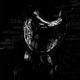 GENERATOR Versions EP