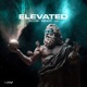 Elevated Single