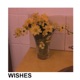 Wishes