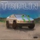 Triflin feat Its3D Single