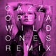 Wild Ones Remixes Single